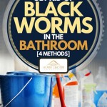 How Do I Get Rid Of Black Worms In My Bathroom