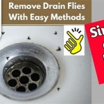 How To Avoid Flies In Bathroom