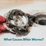 How To Get Rid Of Red Worm In Bathroom Sink Drain Pipe Size