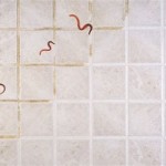 How To Get Rid Of Water Worms In Bathroom