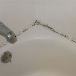 How To Prevent Mold From Growing On Bathroom Ceiling