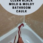 How To Prevent Mold On Bathroom Caulk