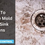 How To Remove Mold Around Bathroom Sink Drain