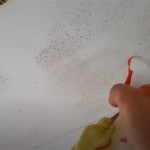 How To Remove Mould From A Bathroom Ceiling