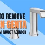 Moen Genta Bathroom Faucet Aerator Removal