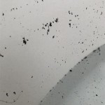 Small Black Specks In Bathroom