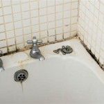 What Causes Black Mold In Bathrooms