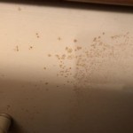 What Causes Brown Spots On Bathroom Walls