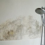 What Causes Mold On Bathroom Walls