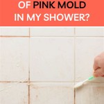 What Causes Pink Mold In Bathroom Showers