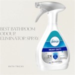 What Is The Best Bathroom Odor Eliminator