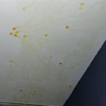 Yellow Water Stains On Bathroom Walls